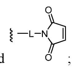 Figure imgf000140_0002