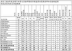 Figure BDA0004086423290000901