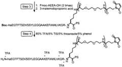 Figure imgf000063_0001