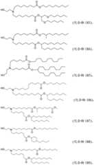 Figure BDA0001702061020001451