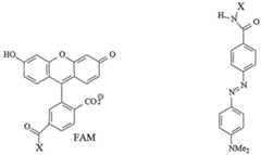 Figure imgf000036_0001