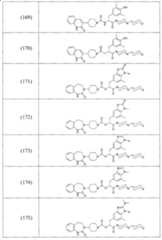 Figure A2006800095860032C1