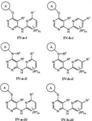 Figure BPA00001476434900241