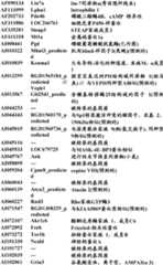 Figure BDA0000057170160001561