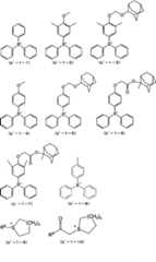 Figure G2008101733470D00211