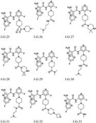 Figure BDA0001412716210005181