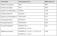 Figure imgf000267_0002