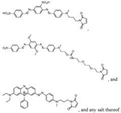 Figure imgf000019_0001
