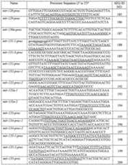 Figure imgf000021_0001