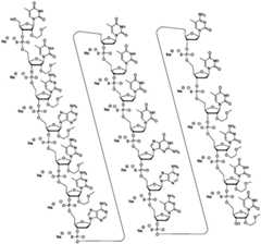 Figure FDA0003319162440000141