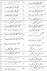 Figure imgf000017_0001