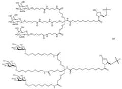 Figure imgf000161_0003