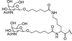 Figure imgf000728_0001