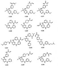 Figure FPA00001280125500441