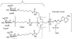 Figure imgf000008_0002