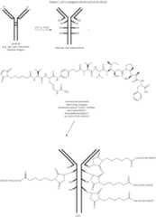 Figure US11873339-20240116-C00052