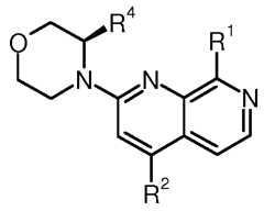Figure imgf000019_0001