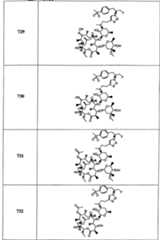 Figure A20058001353203551