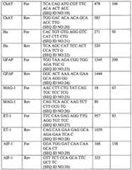 Figure imgf000033_0001