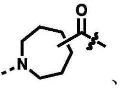 Figure BDA00029640981000001031