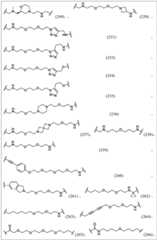 Figure BDA0003783300830001981