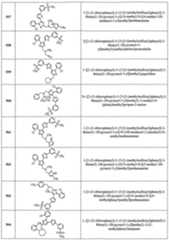 Figure imgf000349_0001