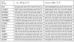Figure 112011031303859-pct00006