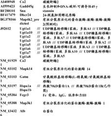 Figure BDA0000057170160002001