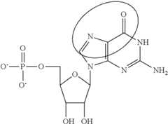 Figure US09675668-20170613-C00089