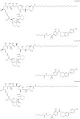 Figure US11364300-20220621-C00235