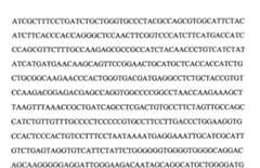 Figure 109103078-A0101-12-0117-88