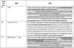 Figure BDA0002379404260000701