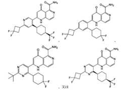 Figure 2025513455000429