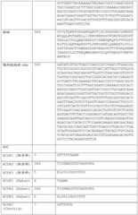 Figure BDA0002591526010000301