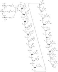 Figure US10912792-20210209-C00026