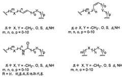 Figure BPA00001373600300361