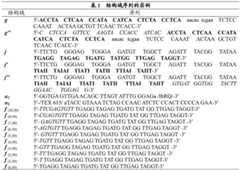 Figure BDA0001771945740000161