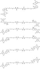 Figure PCTCN2021139314-appb-000054