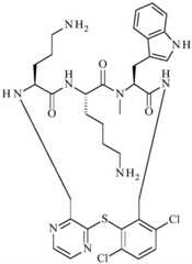 Figure BDA0001640213710004431