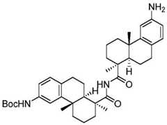 Figure BDA0002889616220002541
