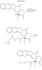 Figure US08475781-20130702-C00042