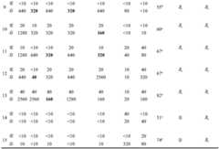 Figure BDA0004089703340003001