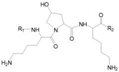 Figure imgf000008_0001