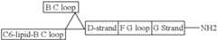 Figure US08907053-20141209-C00024