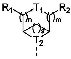 Figure PCTCN2022074782-appb-100024