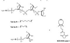 Figure imgf000244_0001