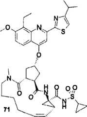 Figure BSA00000676350900811