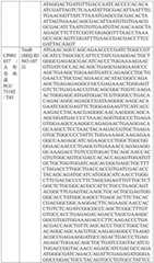 Figure BDA0004033970230005411