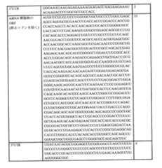 Figure 0007438604000071