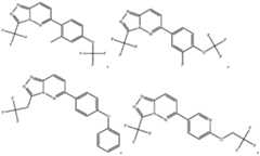 Figure imgf000005_0001